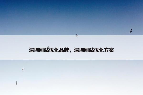 深圳网站优化品牌，深圳网站优化方案
