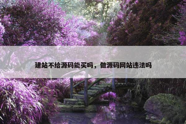 建站不给源码能买吗，做源码网站违法吗