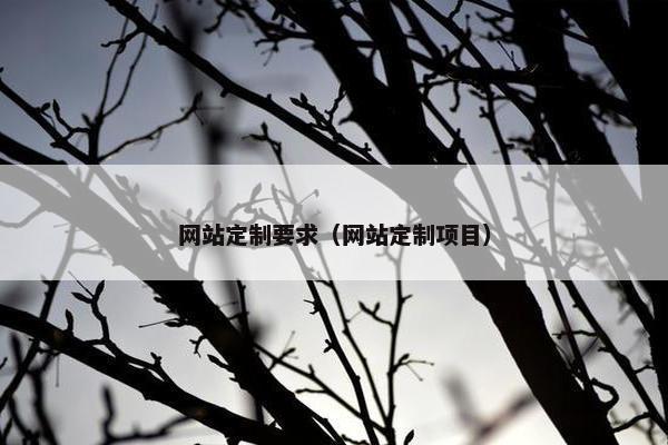 网站定制要求（网站定制项目）
