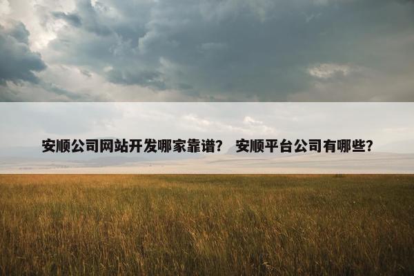 安顺公司网站开发哪家靠谱？ 安顺平台公司有哪些？
