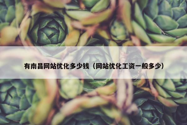 有南昌网站优化多少钱（网站优化工资一般多少）