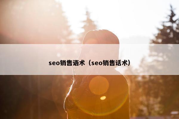 seo销售语术（seo销售话术）