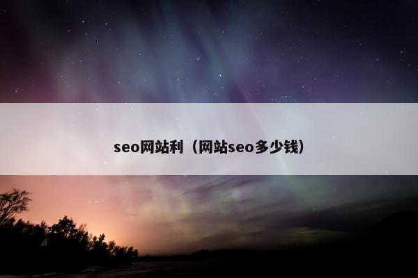 seo网站利（网站seo多少钱）