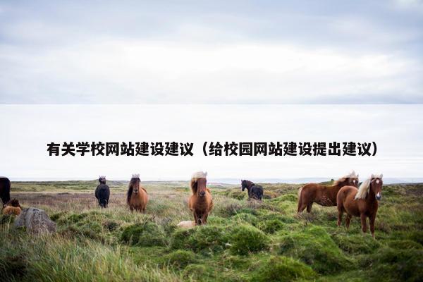 有关学校网站建设建议（给校园网站建设提出建议）