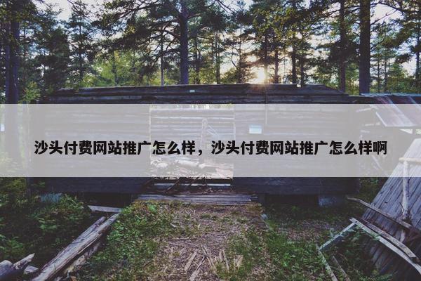 沙头付费网站推广怎么样，沙头付费网站推广怎么样啊