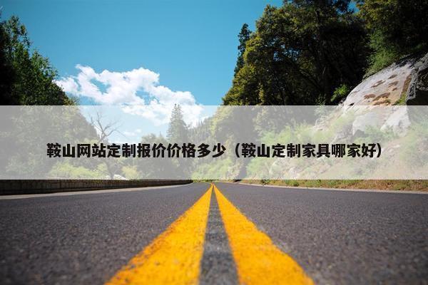 鞍山网站定制报价价格多少（鞍山定制家具哪家好）