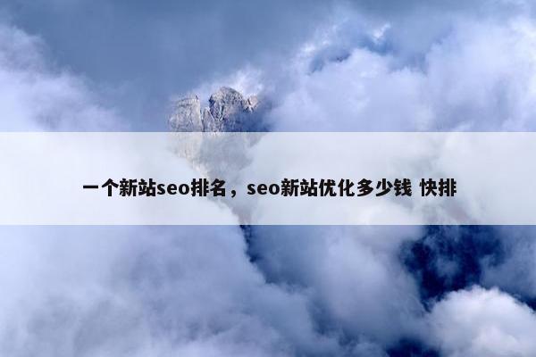 一个新站seo排名，seo新站优化多少钱 快排