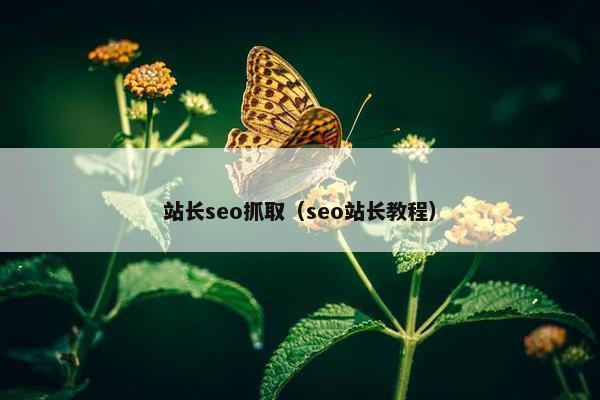 站长seo抓取（seo站长教程）