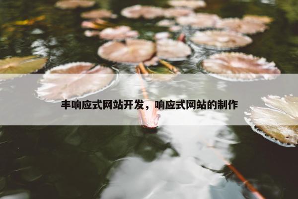 丰响应式网站开发，响应式网站的制作