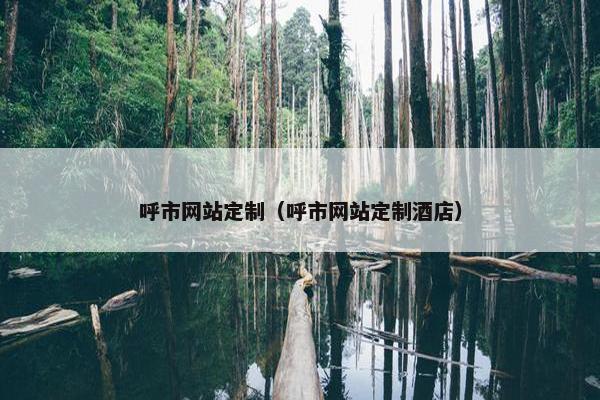 呼市网站定制（呼市网站定制酒店）