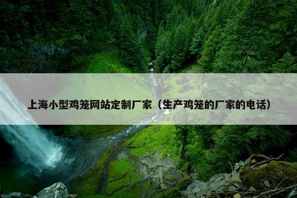 上海小型鸡笼网站定制厂家（生产鸡笼的厂家的电话）
