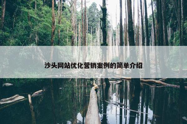 沙头网站优化营销案例的简单介绍
