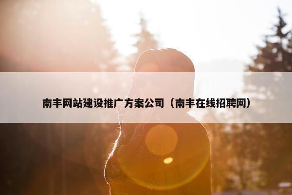 南丰网站建设推广方案公司（南丰在线招聘网）