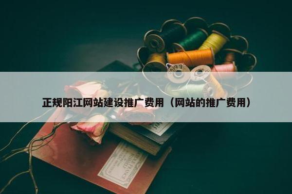 正规阳江网站建设推广费用（网站的推广费用）