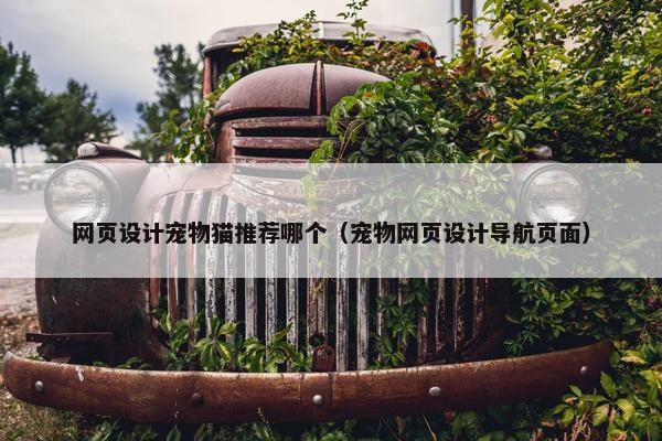 网页设计宠物猫推荐哪个（宠物网页设计导航页面）