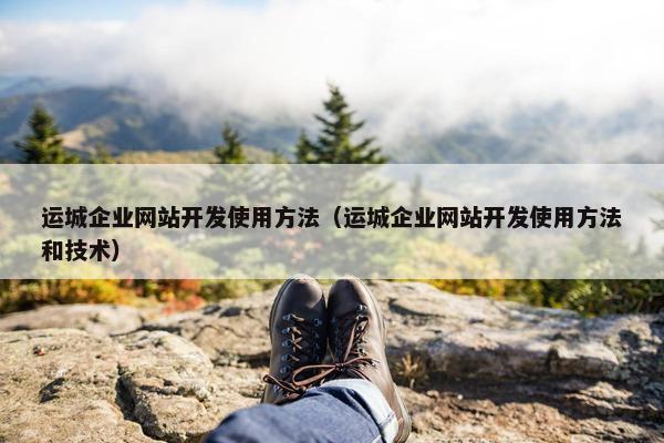运城企业网站开发使用方法（运城企业网站开发使用方法和技术）