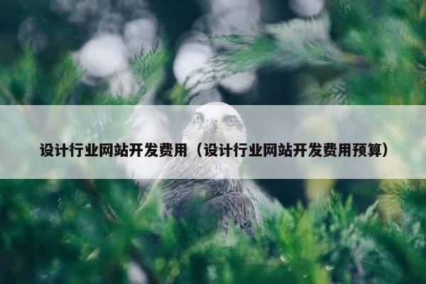 设计行业网站开发费用（设计行业网站开发费用预算）