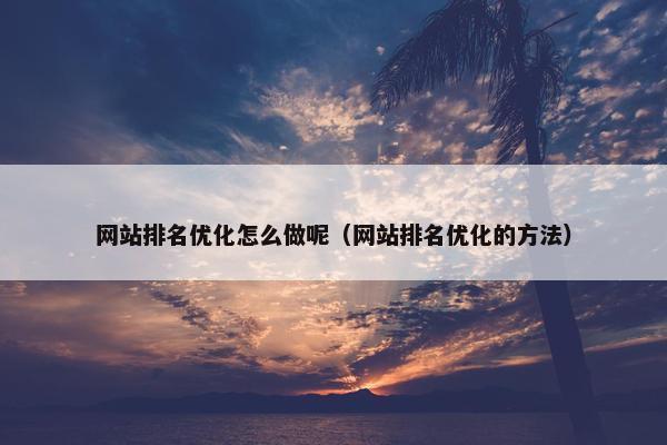 网站排名优化怎么做呢（网站排名优化的方法）