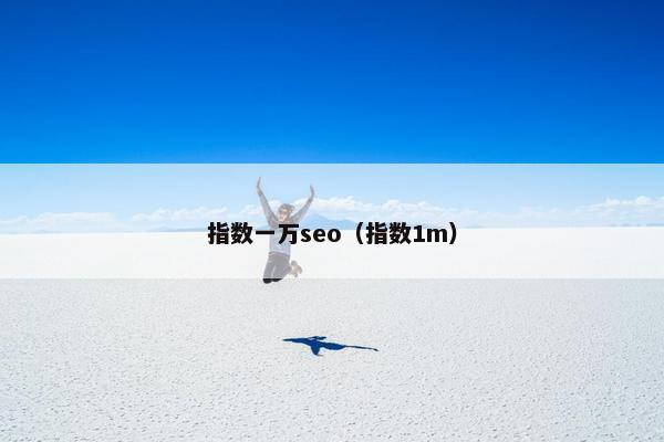 指数一万seo（指数1m）
