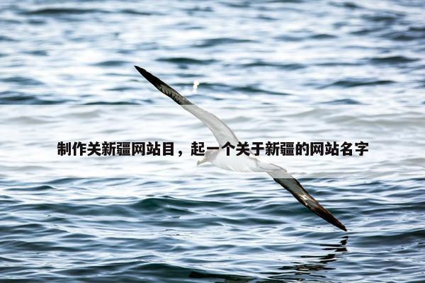 制作关新疆网站目，起一个关于新疆的网站名字
