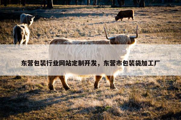 东营包装行业网站定制开发，东营市包装袋加工厂