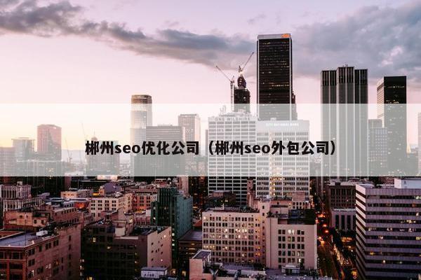 郴州seo优化公司（郴州seo外包公司）