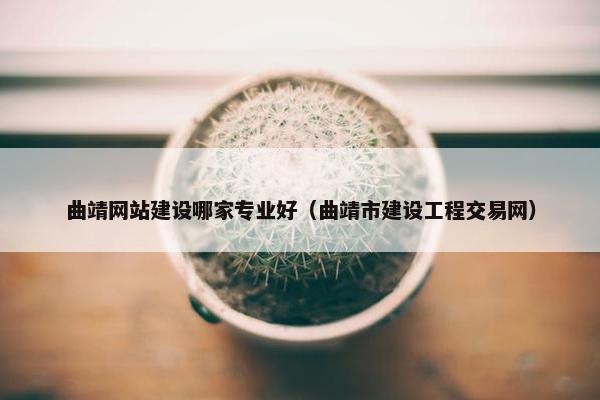 曲靖网站建设哪家专业好（曲靖市建设工程交易网）