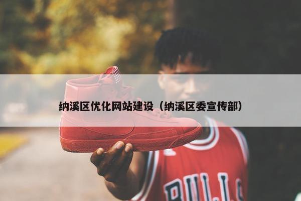 纳溪区优化网站建设（纳溪区委宣传部）