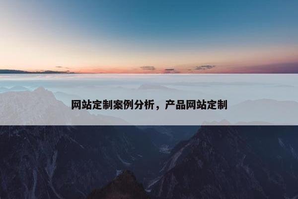 网站定制案例分析，产品网站定制
