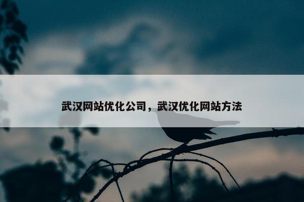 武汉网站优化公司，武汉优化网站方法
