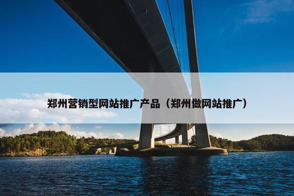 郑州营销型网站推广产品（郑州做网站推广）
