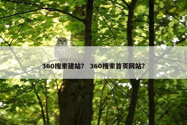 360搜索建站？ 360搜索首页网站？