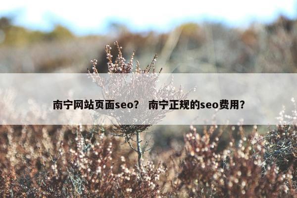 南宁网站页面seo？ 南宁正规的seo费用？