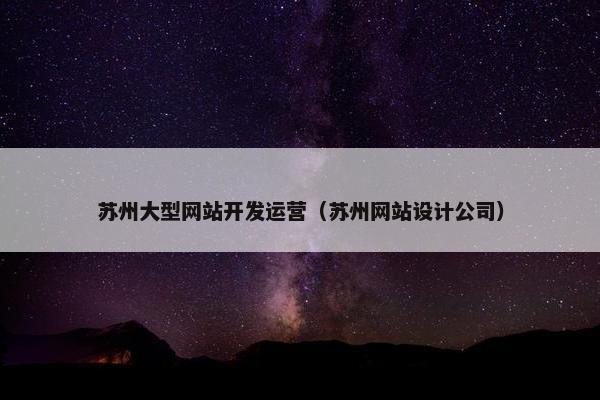 苏州大型网站开发运营（苏州网站设计公司）