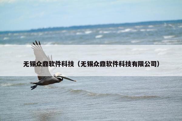 无锡众鼎软件科技（无锡众鼎软件科技有限公司）