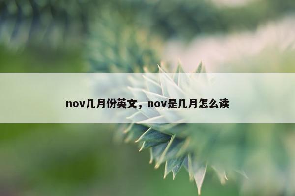 nov几月份英文，nov是几月怎么读