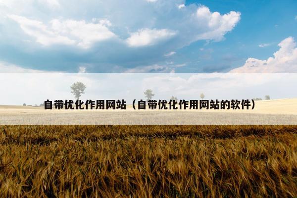 自带优化作用网站（自带优化作用网站的软件）