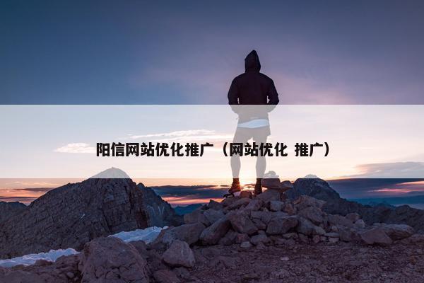 阳信网站优化推广（网站优化 推广）