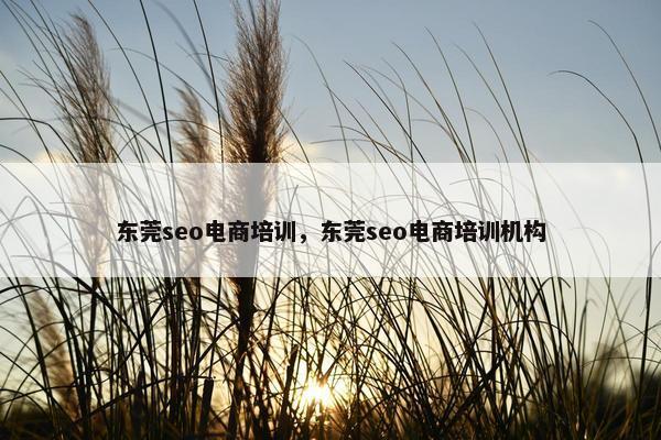 东莞seo电商培训，东莞seo电商培训机构