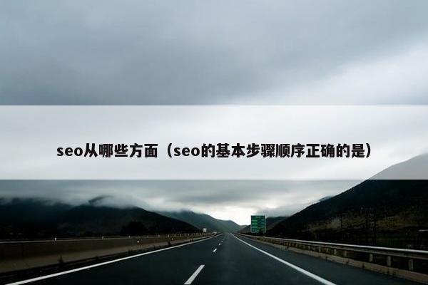 seo从哪些方面（seo的基本步骤顺序正确的是）