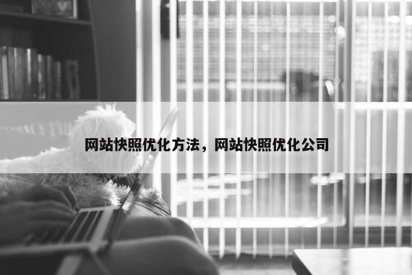 网站快照优化方法，网站快照优化公司