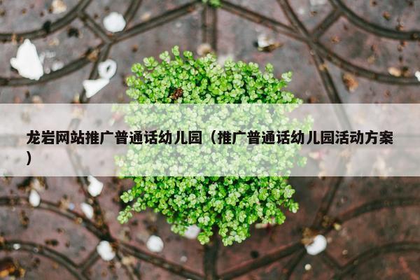 龙岩网站推广普通话幼儿园（推广普通话幼儿园活动方案）