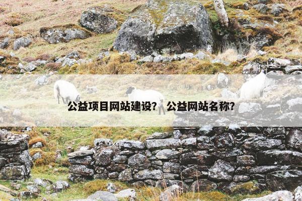 公益项目网站建设？ 公益网站名称？