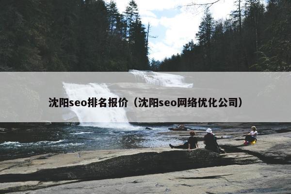 沈阳seo排名报价（沈阳seo网络优化公司）