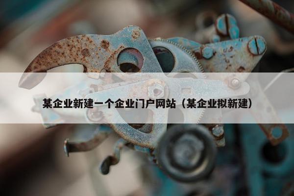 某企业新建一个企业门户网站（某企业拟新建）