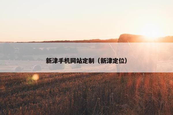 新津手机网站定制（新津定位）