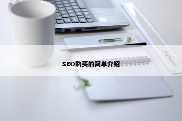 SEO购买的简单介绍