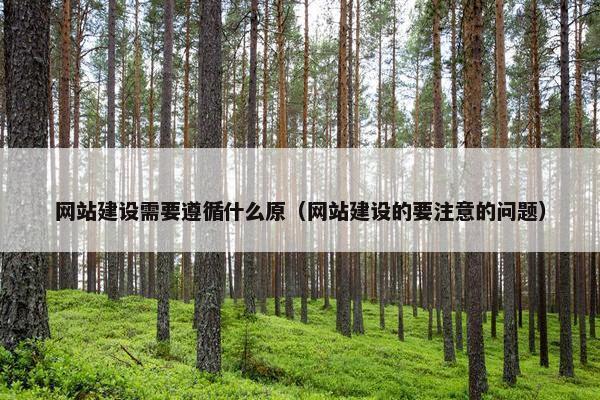 网站建设需要遵循什么原（网站建设的要注意的问题）