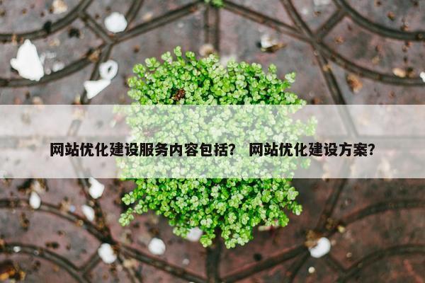 网站优化建设服务内容包括？ 网站优化建设方案？