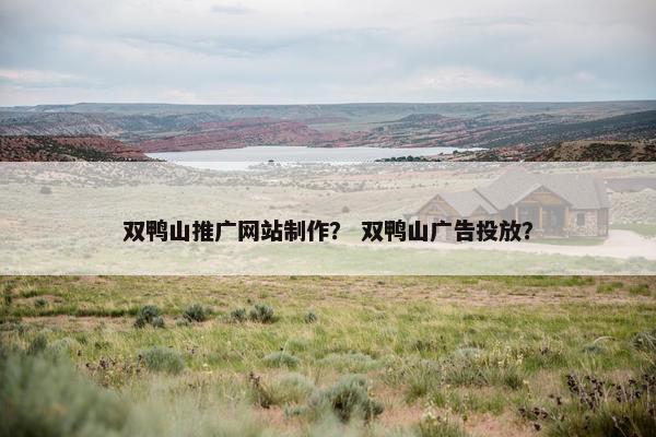双鸭山推广网站制作？ 双鸭山广告投放？